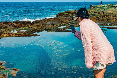 Sydney Private Tour Featuring Wilderness, Wildlife, Waves, Waterfalls And Wine - Events Australia 1