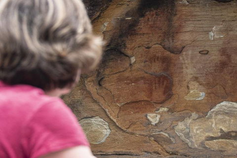 Sydney Private Tour Featuring Wilderness, Wildlife, Waves, Waterfalls And Wine - Events Australia 2