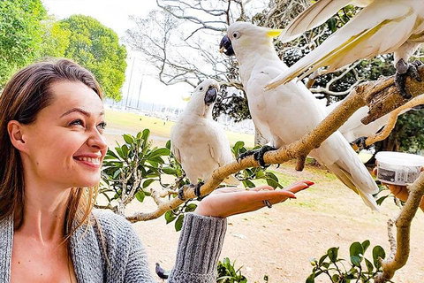 Sydney Private Tour Featuring Wilderness, Wildlife, Waves, Waterfalls And Wine - Events Australia 4