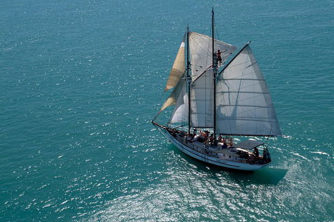 Whitehaven Beach Sailing And Snorkeling Cruise - Accommodation Europe 1