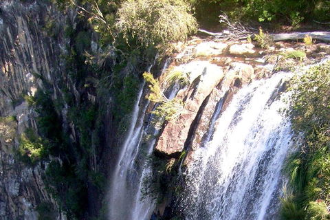 Byron Bay Combo: Hinterland Tour Including Minyon Falls And Kayaking With Dolphins - Events Australia 3