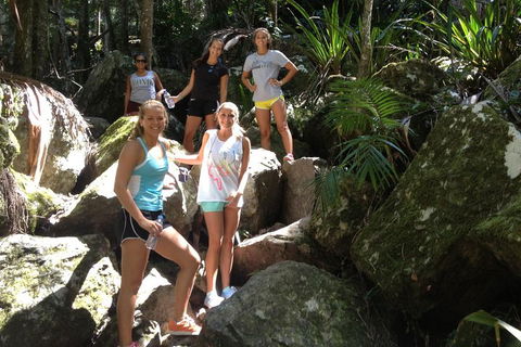 Byron Bay Combo: Hinterland Tour Including Minyon Falls And Kayaking With Dolphins - Events Australia 4