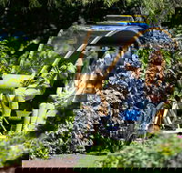 Adelaide 90-Minute Pedicab Tour Scenic Green  River Experience - Events Australia