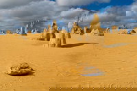 The Pinnacles Sea and Dunescapes Bush Reserve and Sunset Day Tour, Perth