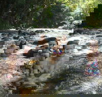 Daintree Rainforest Cape Tribulation Mossman Gorge Small-Group Day Tour - Events Australia