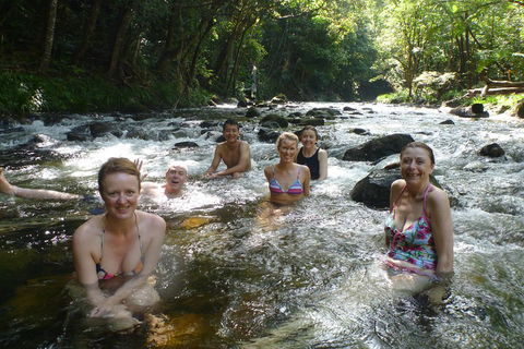 Daintree Rainforest, Cape Tribulation, Mossman Gorge Small-Group Day Tour - Events Australia 0