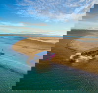 Town of 1770 Afternoon Cruise - Events Australia