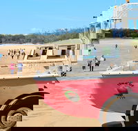 1770 Coastline Tour by LARC Amphibious Vehicle Including Picnic Lunch - Events Australia