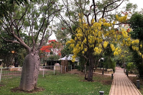 Wet Season Mitchell Falls Tour - Mitchell Falls, Horizontal Falls & Cygnet Bay - Tourism Bookings 1
