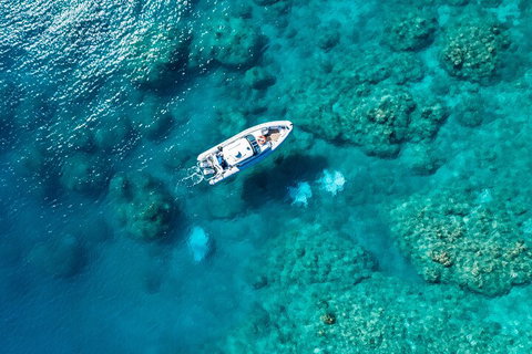 Premium Private Charter - Tourism Bookings 0