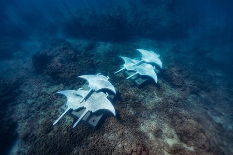 Premium Private Charter - Tourism Bookings 3