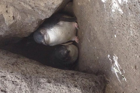 Food Tour Melbourne - St Kilda - Events Australia 3