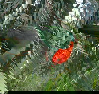 3-Day Private Adelaide to Melbourne tour - Events Australia