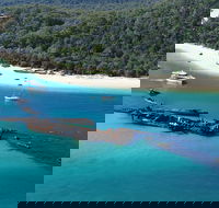 All Inclusive Tangalooma Wrecks Cruise Tour From Gold Coast - Events Australia