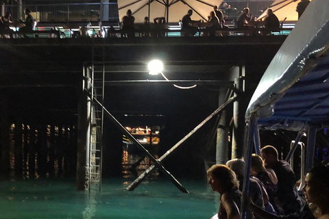 Darwin Sunset Cruise Including Fish 'n' Chips - Accommodation Europe 0