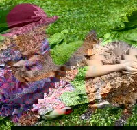 Kuranda Day Tour  HotAir Balloon Combo - Events Australia