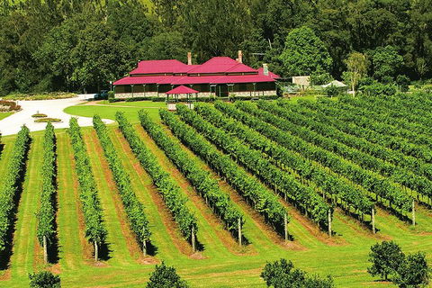 O'Reilly's & Lamington National Park From Brisbane - Events Australia 2