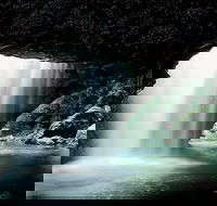 Natural Bridge Glow Worm Night Tour from Gold Coast - Events Australia