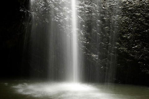 Natural Bridge Glow Worm Night Tour From Gold Coast - Events Australia 2