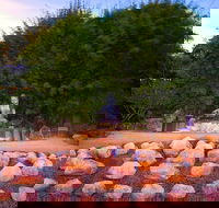 Byron Bay and the Crystal Castle Day Tour from Gold Coast - Events Australia