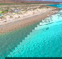 Ningaloo in a Day - Full Day Hike and Snorkel Tour with Lunch - Events Australia