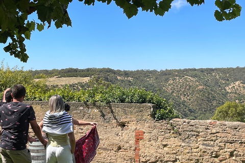 Private Mclaren Vale Wine Tour - Events Australia 2