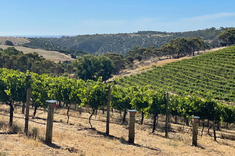 Private Mclaren Vale Wine Tour - Events Australia 3