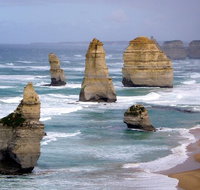 LGBT Friendly 2 Day Private Tour Great Ocean Road  Phillip Island - Tourism Bookings