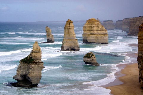 LGBT+ Friendly 2 Day Private Tour Great Ocean Road + Phillip Island - Events Australia 0