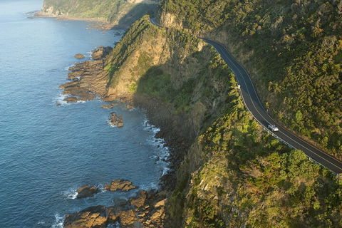 LGBT+ Friendly 2 Day Private Tour Great Ocean Road + Phillip Island - Events Australia 4