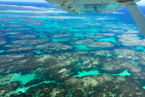 Shipwreck Special Full Day Tour Of The Abrolhos Islands - Events Australia 1