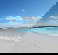 Shipwreck Special Nature Tour/Half Day Tour - Events Australia