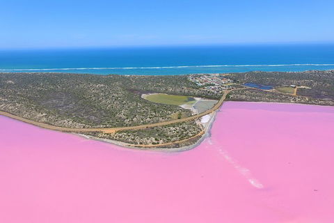 Pink Lake + Abrolhos Islands Nature Tour - Events Australia 4