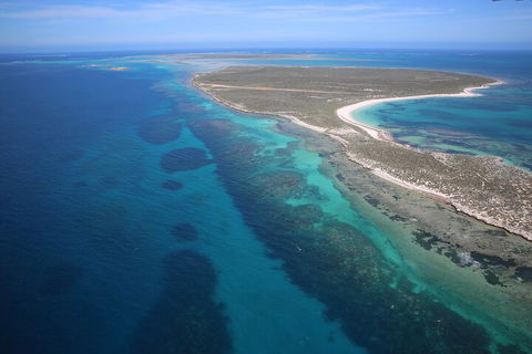 Pink Lake + Abrolhos Islands Scenic Flight - Accommodation Europe 0