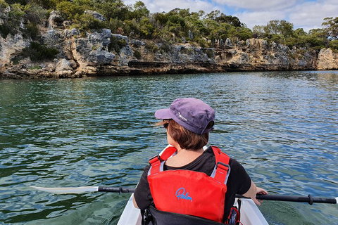 Cliffs And Caves Kayak Tour In Swan River - Events Australia 0