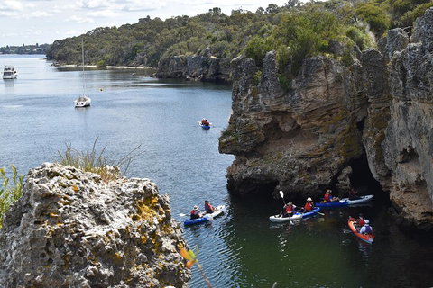 Cliffs And Caves Kayak Tour In Swan River - Events Australia 5