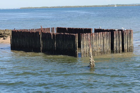 Best Of Moreton Bay Cruise - Events Australia 1