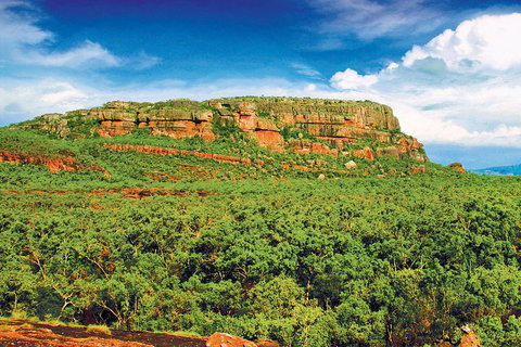 Kakadu, Nourlangie And Yellow Waters Tour From Darwin - Tourism Bookings 3