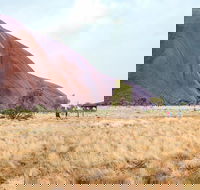 Uluru Sunrise and Guided Base Walk - Events Australia