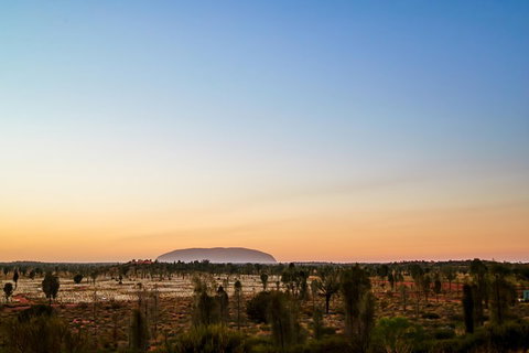 Uluru (Ayers Rock) Field Of Light Sunrise Tour - Tourism Bookings 0