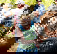 Tiwi Islands Cultural Experience from Darwin Including Ferry - Events Australia