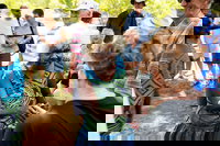 Tiwi Islands Cultural Experience from Darwin Including Ferry