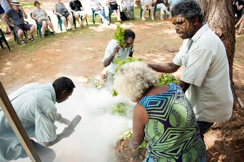 Tiwi Islands Cultural Experience From Darwin Including Ferry - Accommodation Europe 4