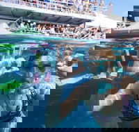 Great Barrier Reef Day Cruise from Cairns Including Snorkeling and Marine Biologist Presentation - Events Australia