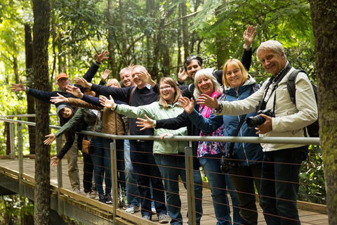 All Inclusive Blue Mountains Small-Group Day Trip From Sydney - Events Australia 5