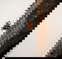 100 Metre Abseil Mount Wellington Hobart - Events Australia