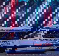 Evening Rainforest  Glow Worm Experience - Events Australia