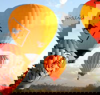 Natural Bridge  Springbrook Waterfalls Tour  Hot Air Balloon with Breakfast - Events Australia