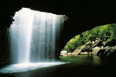 Natural Bridge & Springbrook Waterfalls Tour - Events Australia 0