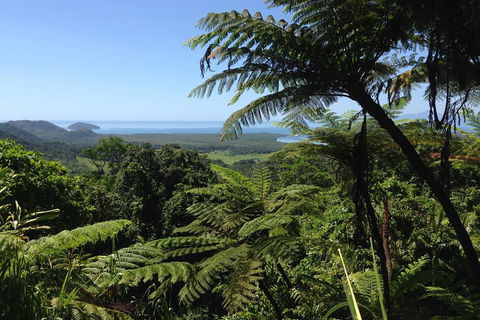 Daintree And Cape Tribulation Full Day Guided Tour - Events Australia 2